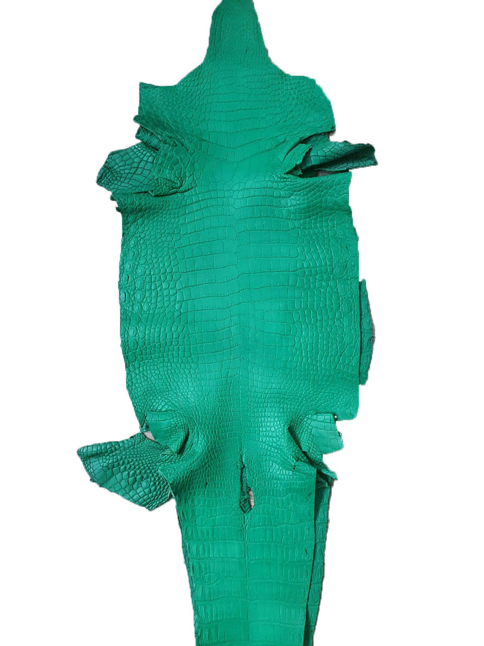 สีเขียว