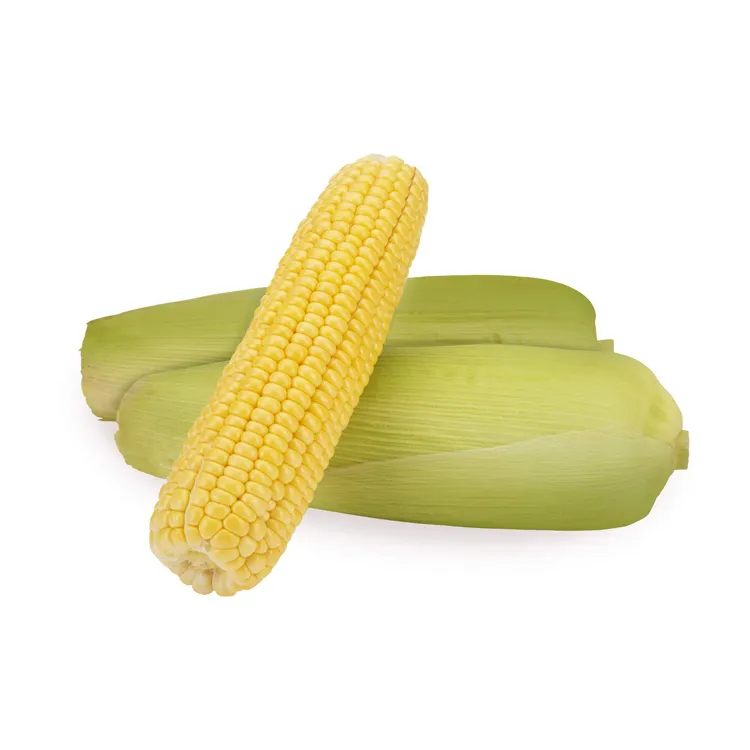 Bulk Importers Quality Consumption Non Gmo Sweet Corn/Top Selling Good Quality Natural Yellow Corn Cheap Price