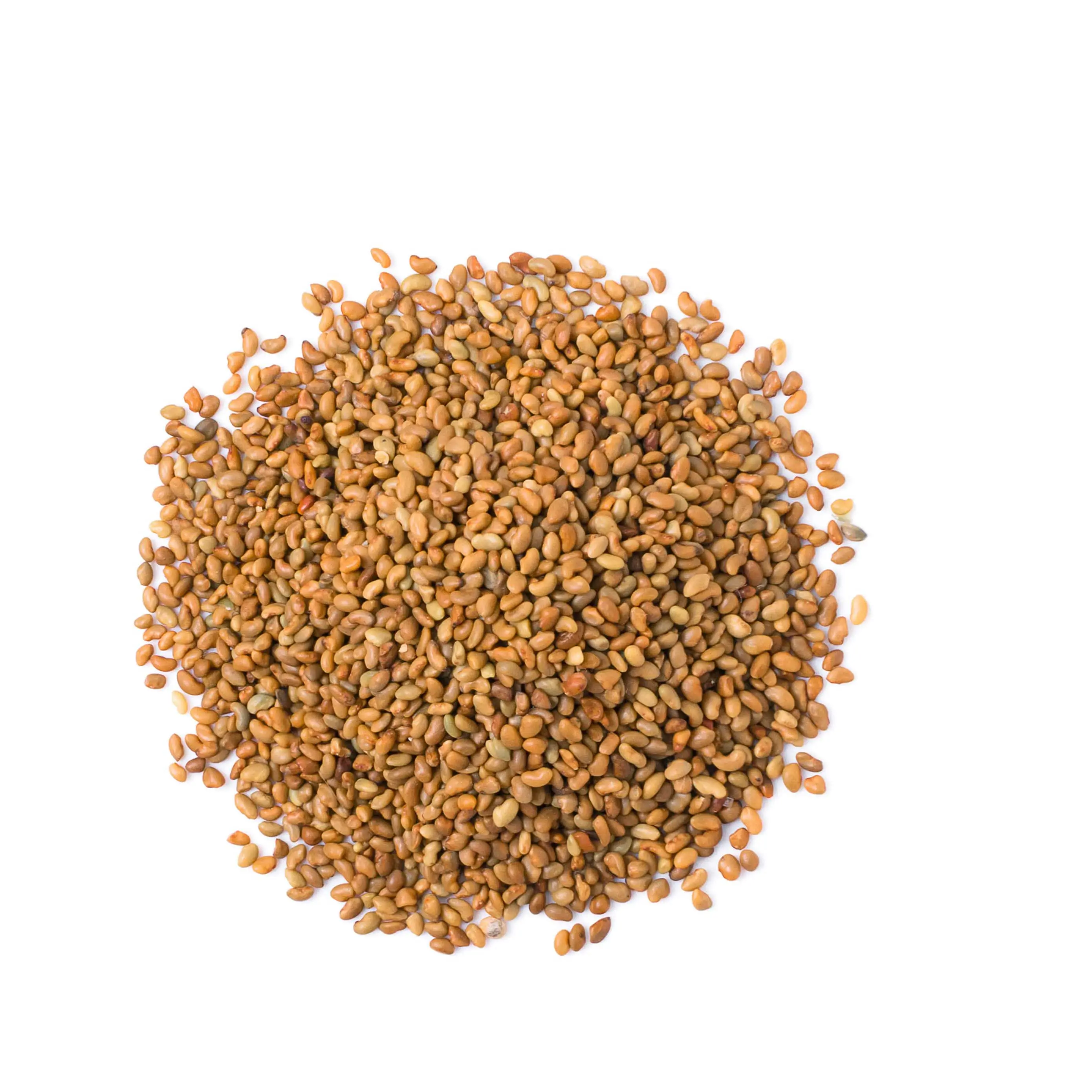 Semillas de alfalfa de la mejor calidad a buen precio