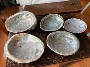 Ucuz yeşil abalone kabukları - Product Image 5