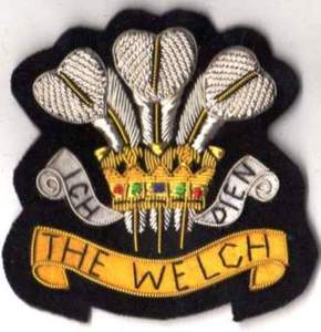 SOUTH STAFFORDSHIRE REGIMENT BLAZER BADGE工場製OEM軽量金塊ワイヤーバッジ低MOQ装飾的な縫い付けバッジ