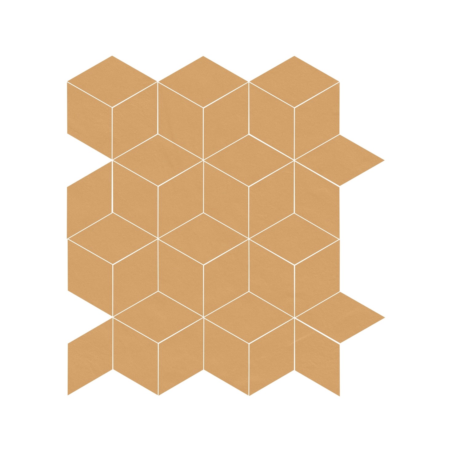 Maize