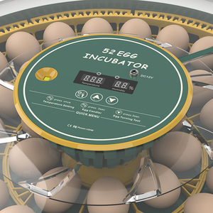 WONEGG <span class=keywords><strong>Multi</strong></span> Funcional 52H Dual Power Barato Pequeno Tamanho Bird Eggs Incubadora para Venda