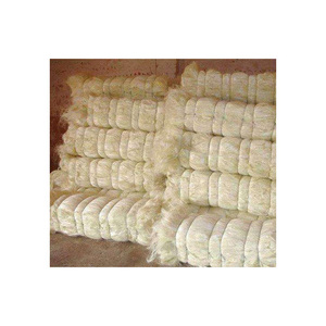 Affordable UG GRADE SISAL FIBER AT <strong>GOOD</strong> PRICE . - Product Image 4