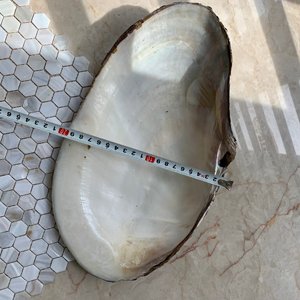 Natural Raw Mother of Pearl <strong>Shells</strong> Price Polished <strong>Shells</strong> Pearlized Seashells Wholesale From Vietnam - Product Image 6