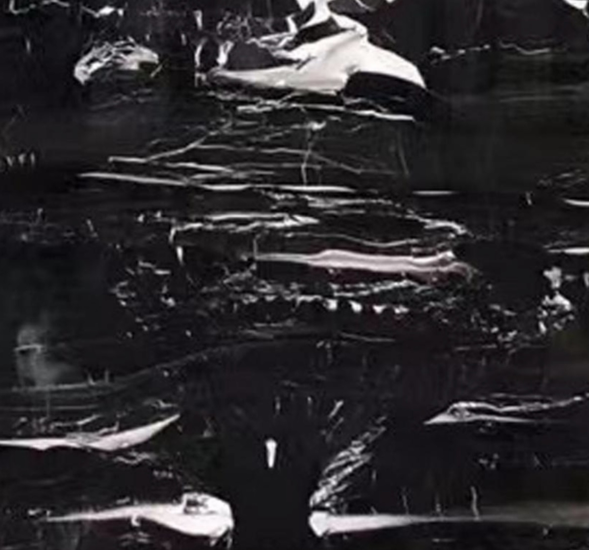Viena negro