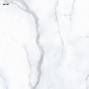 Novac seramik hindistan'ın en kaliteli 600x600mm reaktif yüzey seramik fayans modeli SR_<span class=keywords><strong>20</strong></span> yer karosu düşük fiyata