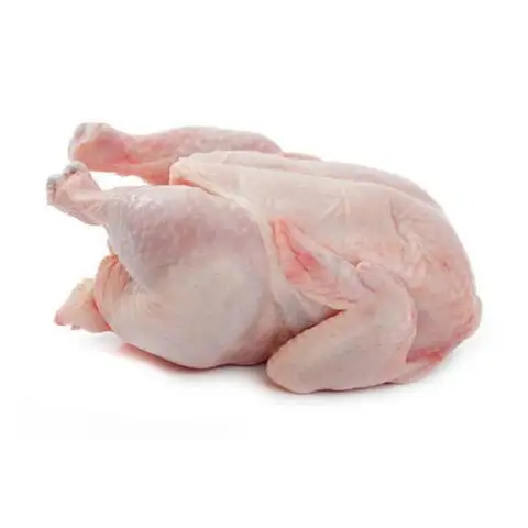 할랄 냉동 통닭 깨끗한 통닭 판매/닭발/닭발