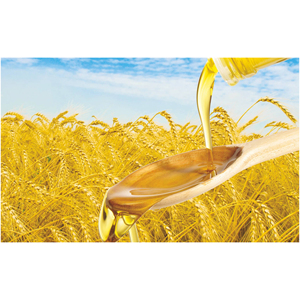 น้ำมันรำข้าวน้ำมันรำข้าวน้ำมันรำข้าวน้ำมันทำอาหาร - Product Image 6