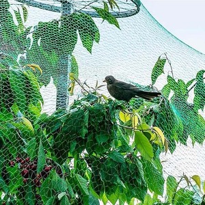 PE Anti reticolato per giardino protegge alberi da frutto ortaggi da uccelli cervi scoiattoli conigli-rete di plastica per uccelli - Product Image 1
