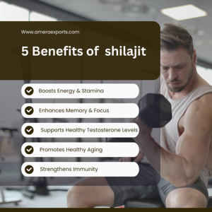 Eurofins chứng nhận chất lượng cao shilajit nhựa 78% Fulvic axit chiết xuất thảo dược tư nhân ghi nhãn số lượng lớn đơn đặt hàng Hoang Dã trồng trọt - Product Image 6