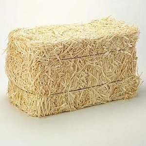 Balles de foin de paille de blé de bonne qualité pour l'alimentation des animaux