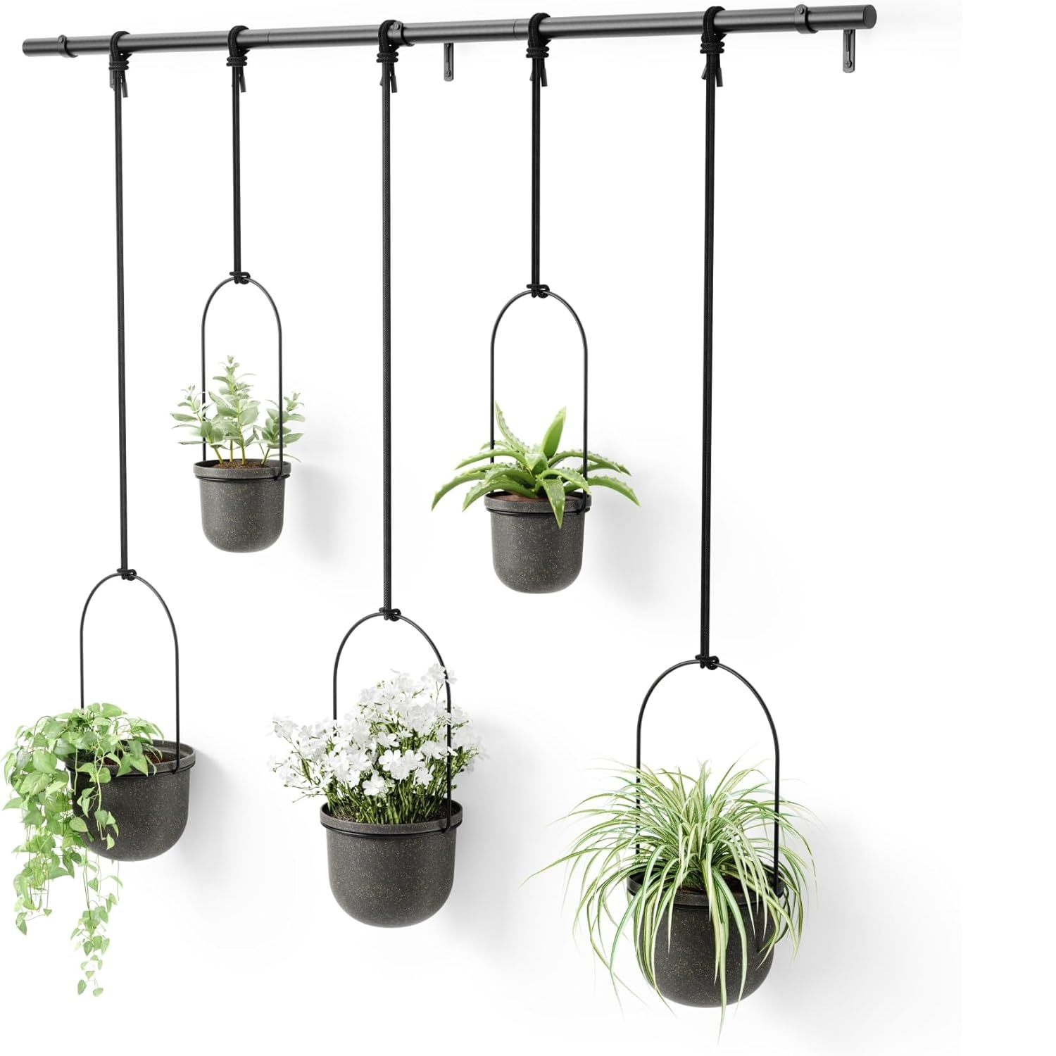 ตามที่แสดง