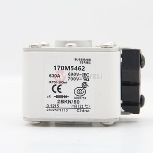 Endüstriyel ekipman ve elektronik devre koruması için Littelfuse 170M5462 250V 15A hızlı etkili sigorta seramik tüp sigorta - Product Image 3