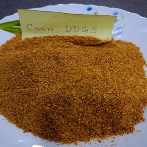 Dgs תירס באיכות גבוהה עם 100% טהור מזון חי טבעי כיתה dgs למכירה