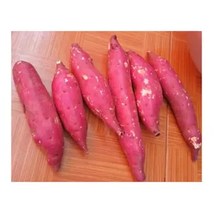 Fresh Red Sweet Potato - Product Image 2