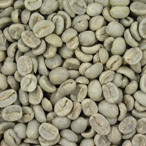 Granos de café de alta calidad, granos de café naturales al por mayor de Vietnam, granos de café verde árabe Robusta, sin procesar