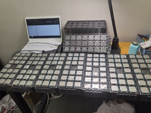 AMD R Yzen R3 2200G/2200GE 3100/3200G/3200GE CPU de procesador para computadora de escritorio PC nuevo y usado Paquete de bandeja de CPU Tipo de enchufe AM4 - Product Image 4
