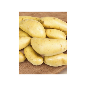 Yüksek kaliteli taze patates toptan toplu tedarik sıcak satış taze sebze patates ihracat için en iyi sınıf taze patates - Product Image 3