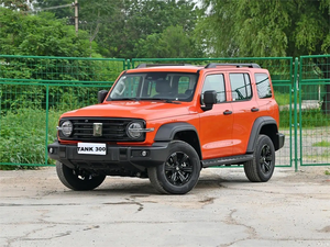Tank otomatik spor benzinli araba Off Road aracı büyük duvar tankı <span class=keywords><strong>300</strong></span> 2024 yakıt arabalar 2.0T 4x4 Off-road SUV işık hibrid araba