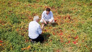 Extra Fine Crushed Tomatoes in Bags 10kg Giuseppe Verdi Selection Vegetables Pulp Made Italy - Product Image 4