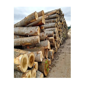 Viet nam'dan meşe ve çam ahşap kütükler düşük fiyat temini - Product Image 6