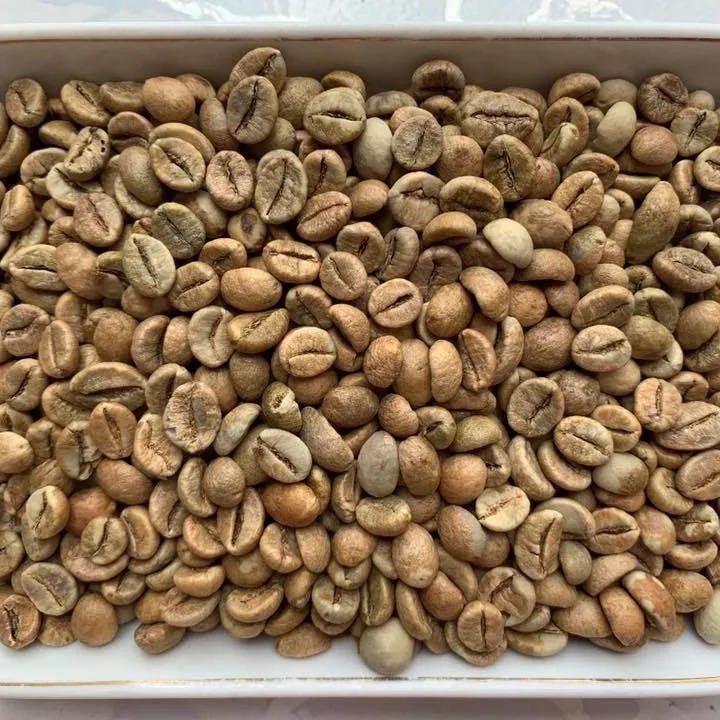 Vietnam Robusta Biji Kopi Produksi Terbaik untuk Harga Yang Sangat Baik dari Mesin Pengolahan Kopi Biji Hijau Robusta