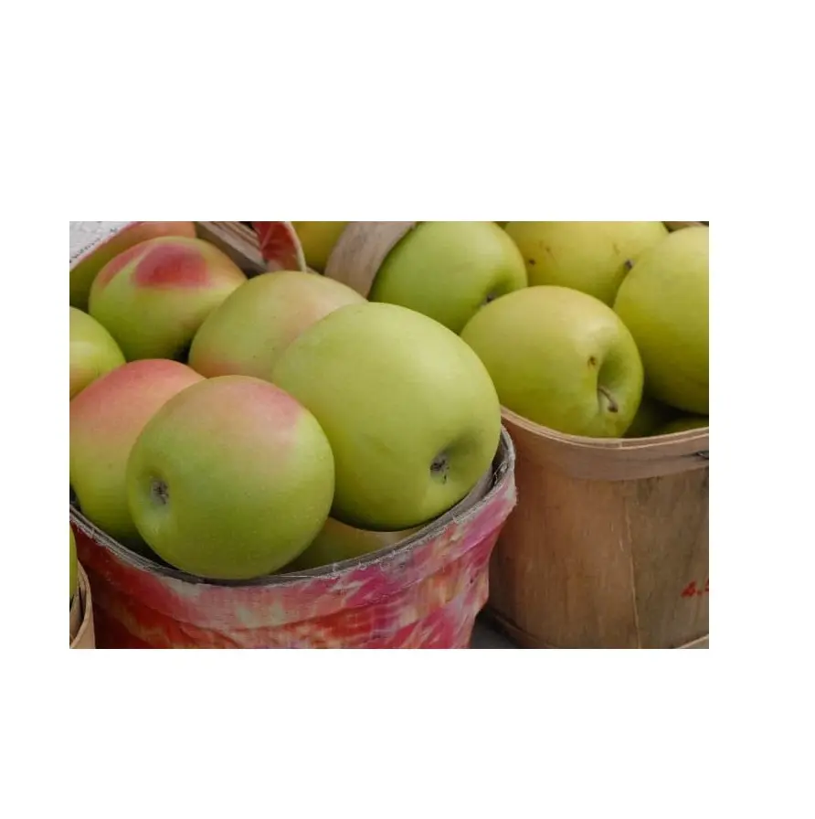 La más alta calidad, el mejor precio, suministro directo de manzanas Mutsu | Royal Gala Apples Bulk Fresh Stock disponible para exportaciones