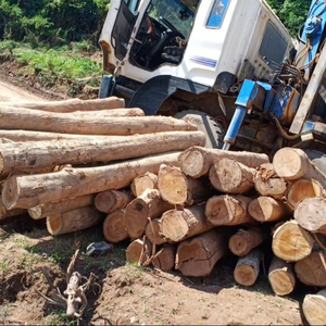 <span class=keywords><strong>Chennai</strong></span> Ấn Độ của teakwood Pine sồi và vân sam bản ghi tròn và hình vuông mẫu từ mundra tuticorin - Product Image 3