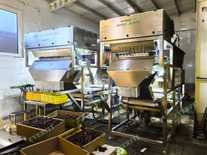 AI Sorter <strong>for</strong> Coffee <strong>Cocoa</strong> Pistachio <strong>Beans</strong> Date <strong>Sorting</strong> Production Line 3000KG with 220V Motor and Engine Core Components - Product Image 2