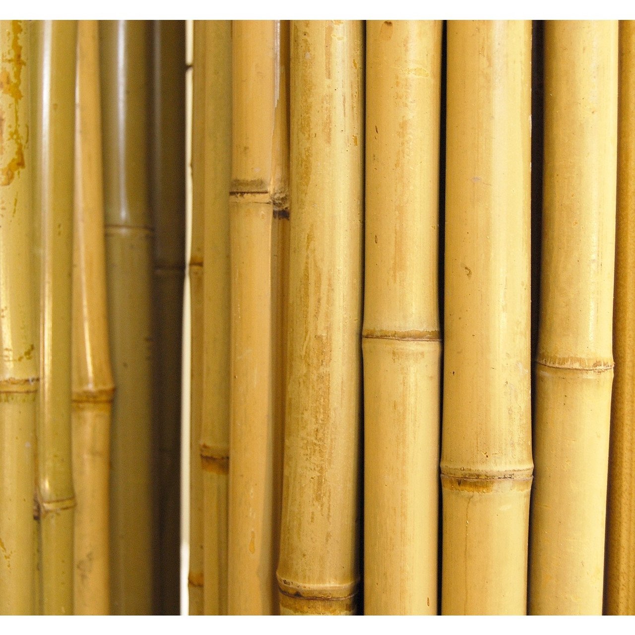 ธรรมชาติ