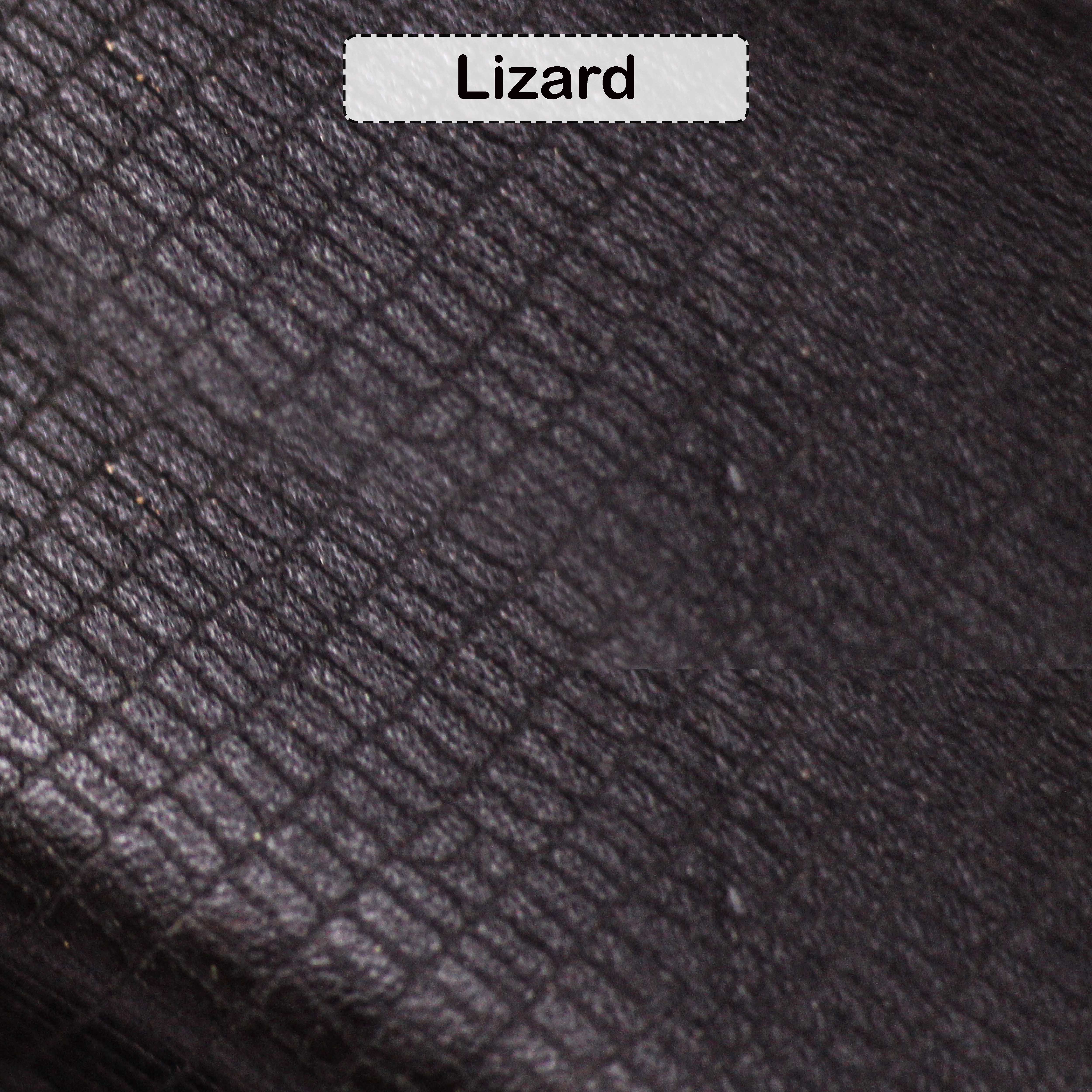 Lézard Noir