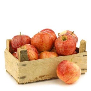 Sweet Fresh Royal Gala <strong>apple</strong> Fresh Fuji and Red Star <strong>Apples</strong> and Other Fresh Fruits at Wholesale Price in Bulk for <strong>Export</strong> - Product Image 6
