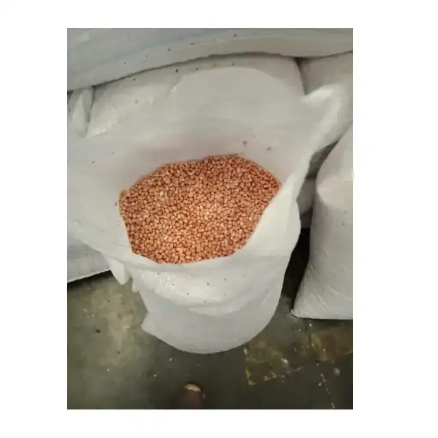 Bulk Stock 100% Natural Fresh Peanut Groundnut Raw Peanuts for Snacks from Indian Supplier Available at Best Price