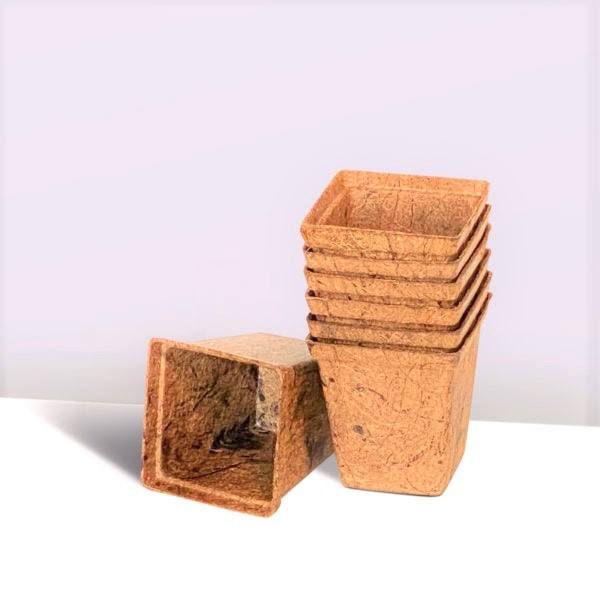 ธรรมชาติ