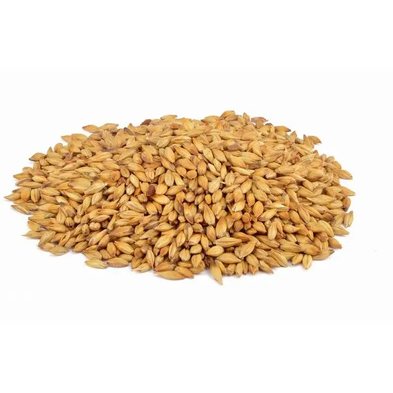 Ячменные зерна, семена ячменя, корма для животных, Ячменные зерна, солодовые зерна ячменя