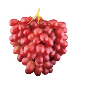 &quot;Get Fresh Red Grapes for Sale at Discount Prices Perfect for Snacking or Making Juices and Smoothies&quot; - Product Image 2