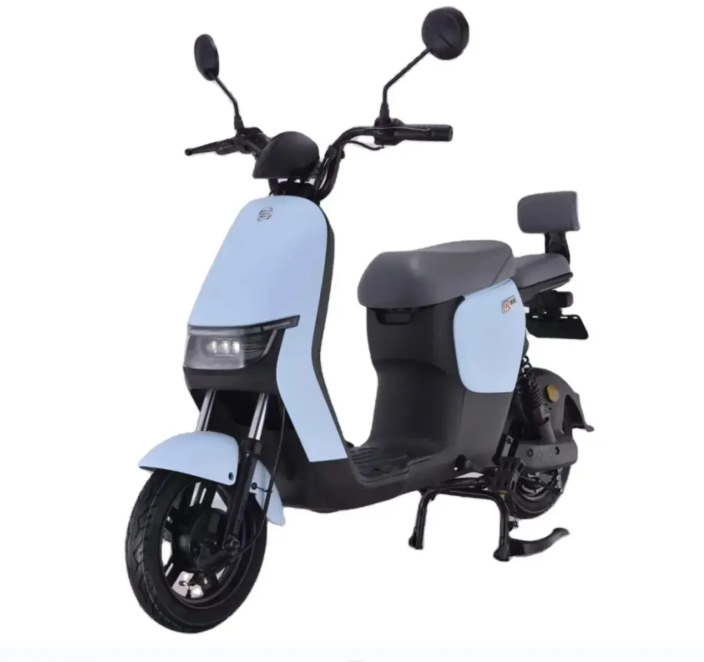 SAIGE EEC COC 1000 W Elektro-Scooter Erwachsene Moto Elettrica Erwachsenen-Motorrad Großhandel mit abnehmbarer Batterie