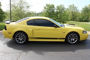 2003 f-o-r-d mu-s-t-a-ng Mach 1 ~ 56600 mil 5 vitesli manuel modüler 4.6 litrelik V8 bazı değişiklikler - Product Image 3