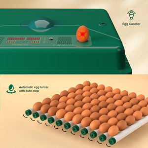 High Quality 70 Egg <strong>Chicken</strong> Incubator with Digital Display and Automatic Turning System ECO PROFI <strong>C</strong>-70 - Product Image 3