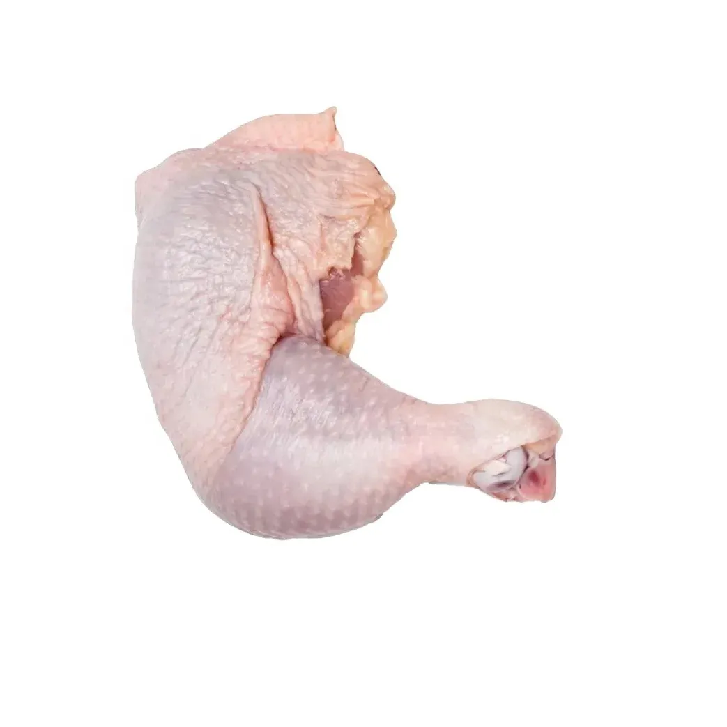 Brazilian frozen Halal chicken thighs for sale