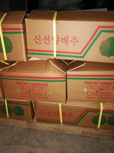 Số lượng lớn người mua hạnh phúc và bán lẻ sẵn sàng tươi Cải bắp từ Việt Nam nam cho nhà nhập khẩu và cho bán buôn (+ 84983028718) - Product Image 6