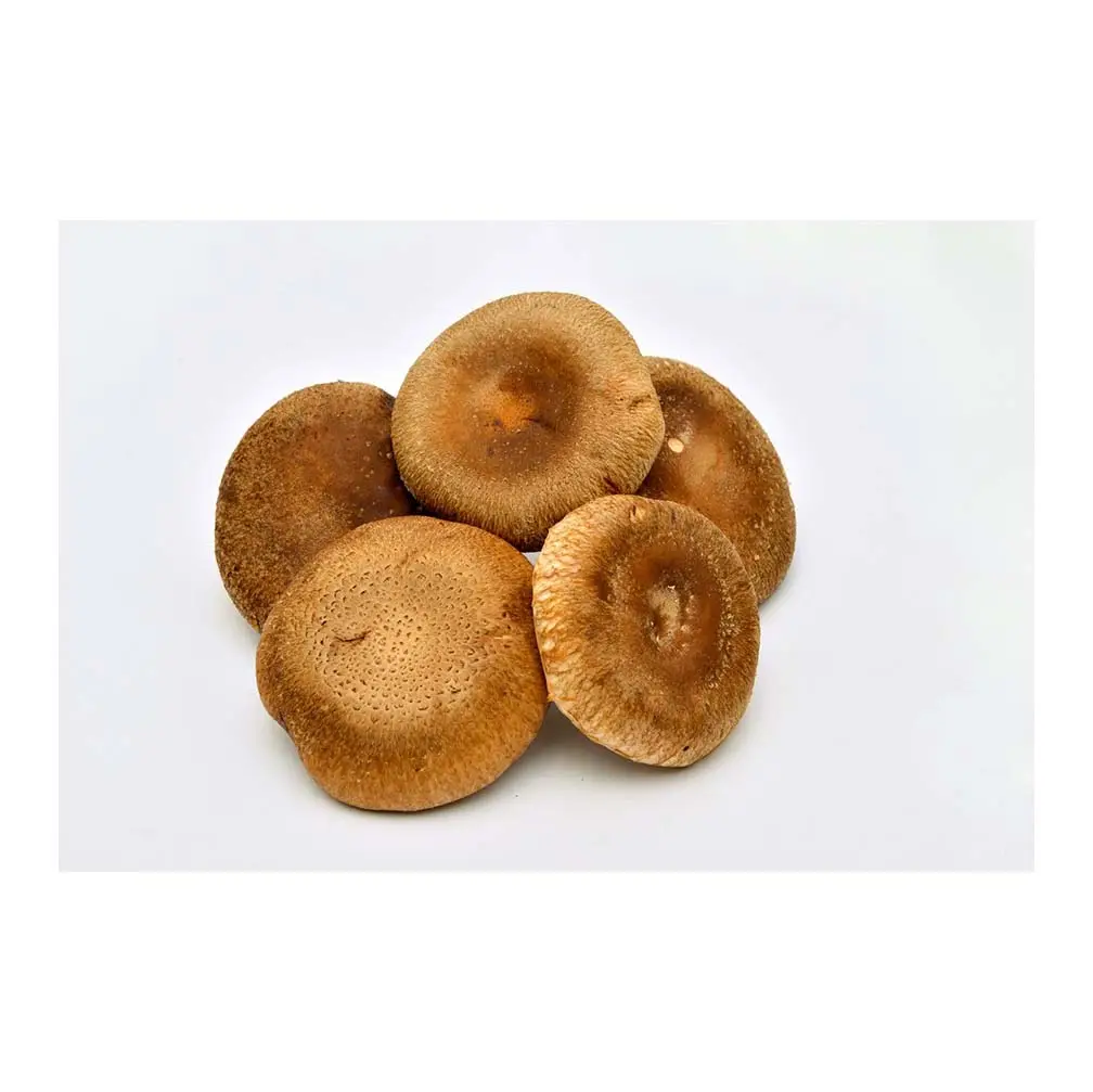 Conservation de l'eau champignons shiitake entiers en conserve frites faciles à cuire champignons shiitake avec sauce soja délicieux prêt à l'emploi quotidien