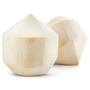 Frische Kokosnüsse von höchster Qualität, verpackt mit natürlicher Güte und Geschmack Diamond Coconut Variety