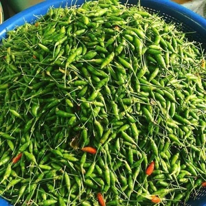 พริกเขียวสดคุณภาพสูงจากเวียดนามและพริกในน้ำเกลือเป็นทางเลือกที่ดีที่สุดสำหรับทุกมื้อ - Product Image 6