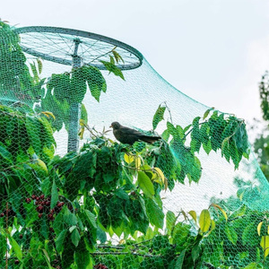 4*15m <strong>PE</strong> <strong>Garden</strong> Vegetables Fruits Plant Insect Protection Fine Mesh Cover Anti Bird <strong>Net</strong> Orchard Pond Blocking Greenhouse Netting - Product Image 2