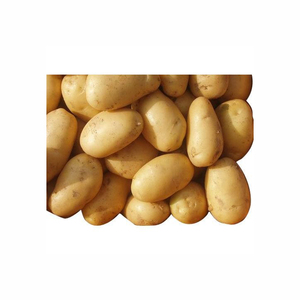 Export Quality Widely Selling Premium Fresh Vegetables Egyptian Fresh <strong>Potatoes</strong> From Origin Manufacturer