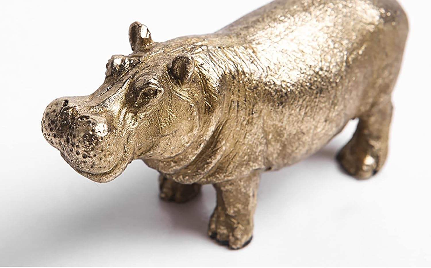 ตามที่แสดง