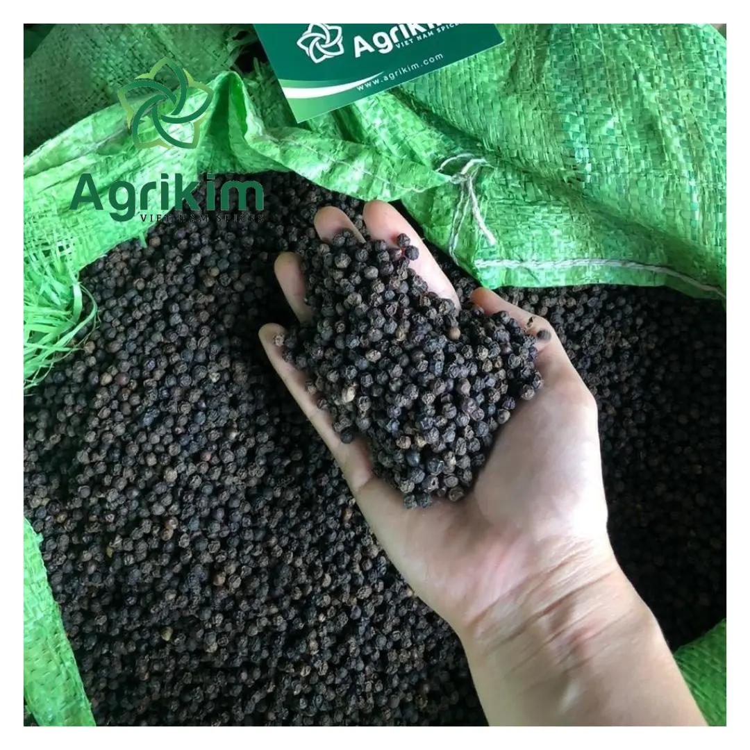 Cultivation Dried Black Pepper Seasoning & Condiments Spicy Flavour Natural Black Bulk Price Contact Now +84 363 565 928