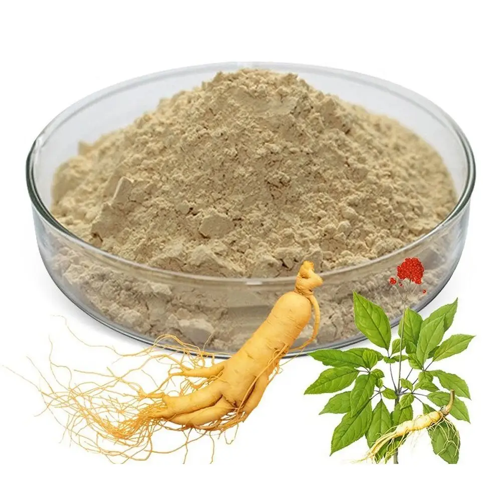 Bubuk ekstrak akar Ginseng murni dan alami, kapsul akar Ginseng murni dan alami dengan harga terendah dari India